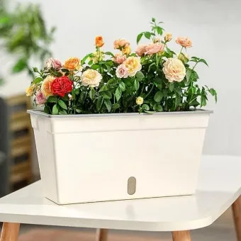 자동급수 화분 선택 물탱크관리 여행중건조 예방 쉬운 사용법_9