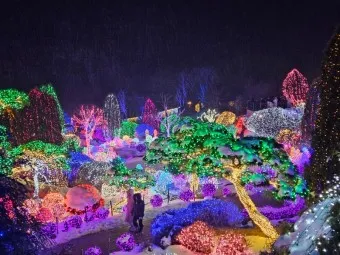 아침고요수목원 입장료 근처 맛집 펜션 추천_8