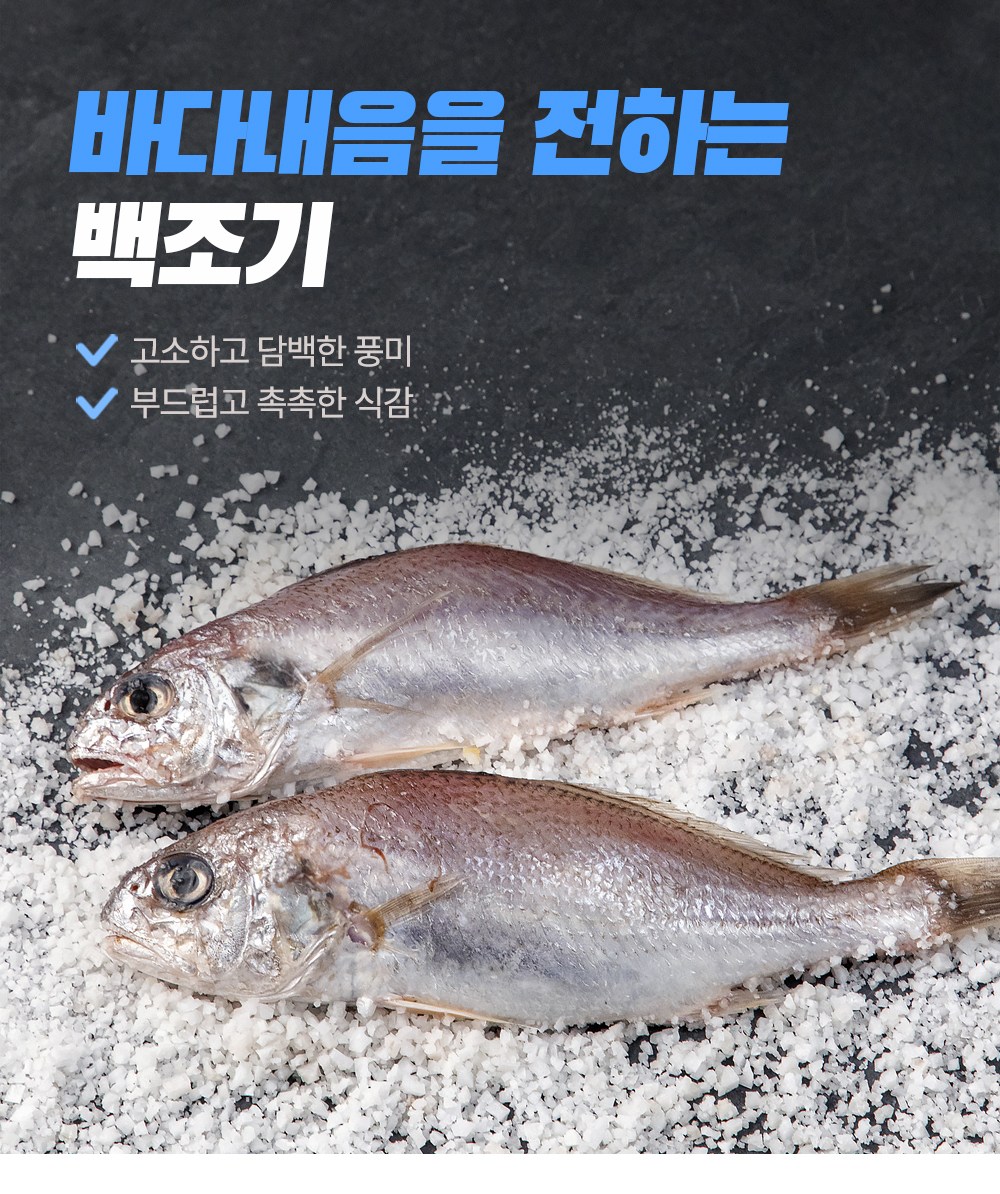 6시내고향 충남 서천 백조기, 보구치, 흰조기 파는 곳 전국 택배 만풍호 온라인 전화 주문 추천