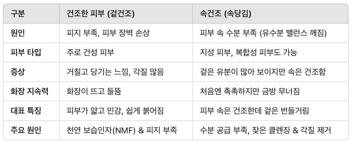 건조한 피부 vs. 속건조 – 차이점 비교