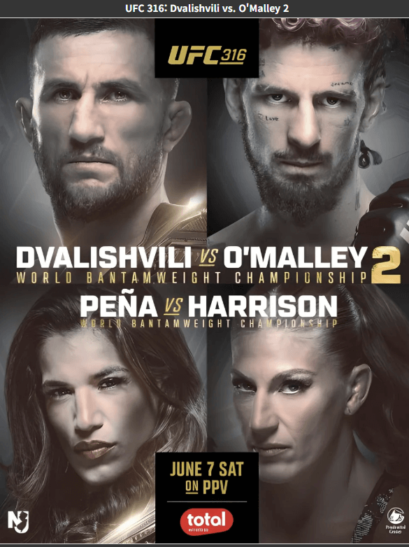 UFC 316