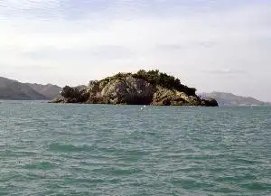 금일도