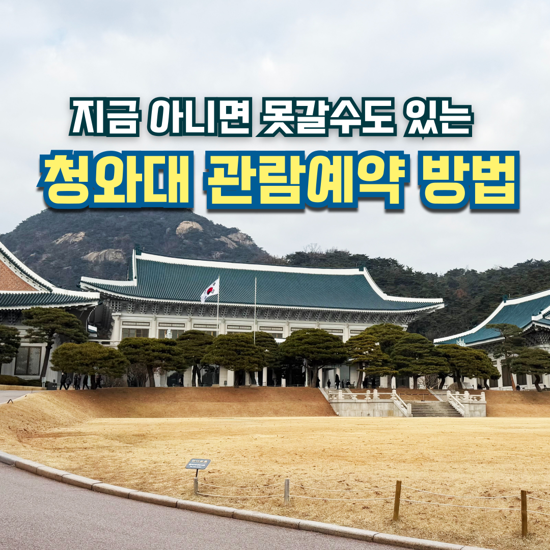청와대 사진