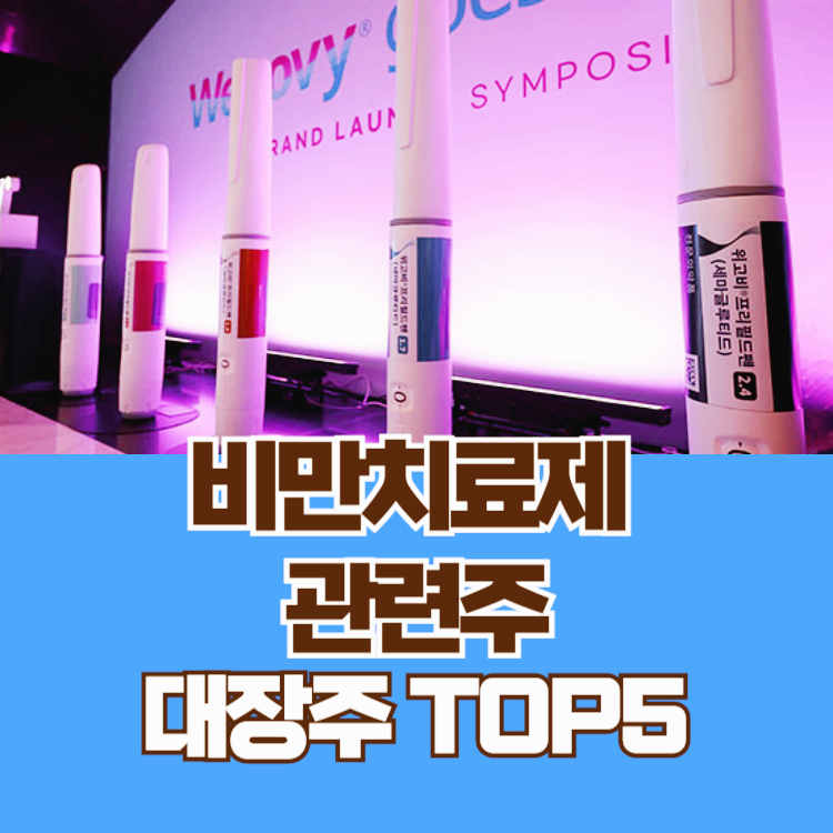 비만치료제 관련주 대장주 비만약 관련 주식 TOP5