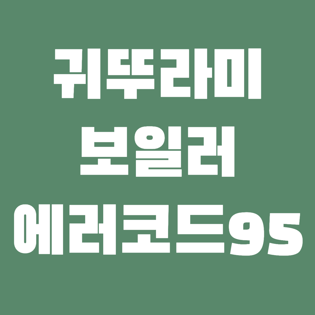 썸네일-에러코드95