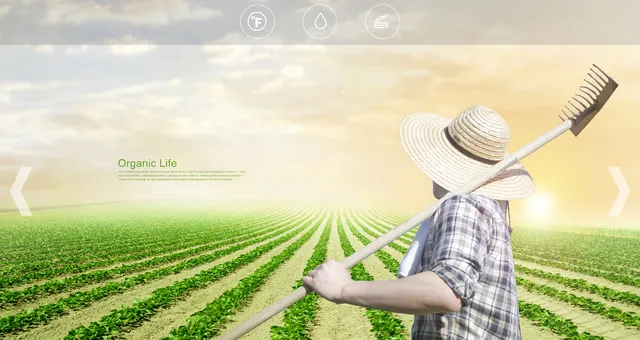 농지연금 수령액 계산