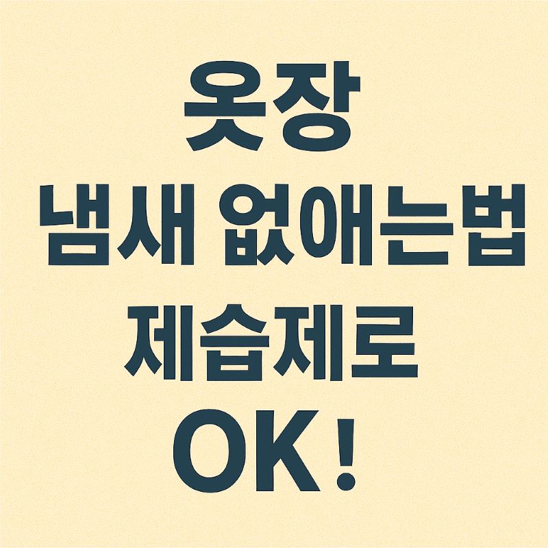 옷장 냄새 없애는 법 – 제습제로 OK!
