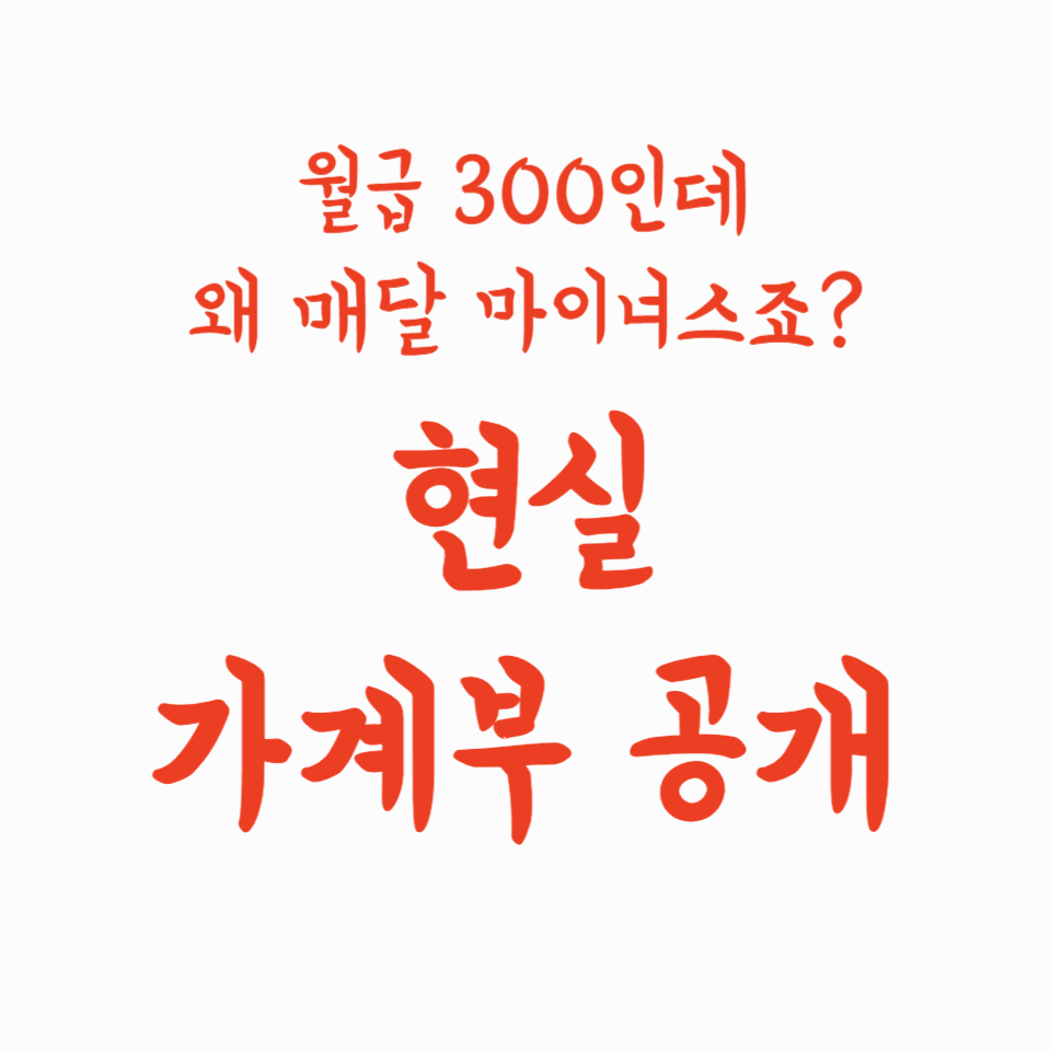 월급 300인데 왜 매달 마이너스죠? 현실 가계부 공개