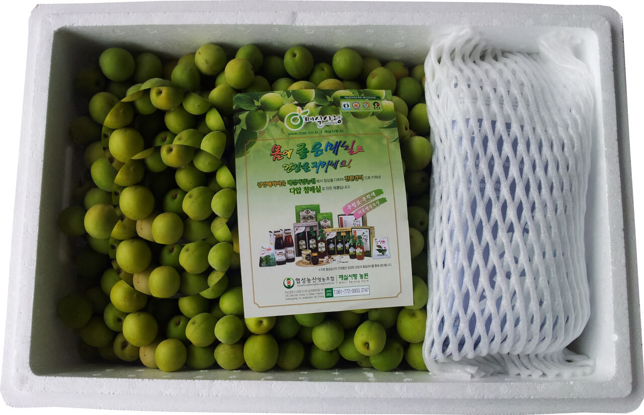 생방송투데이 3787회 이 주의 장바구니 전남 광양의 유기농 매실 전문 농장 매실사랑농원 주문방법