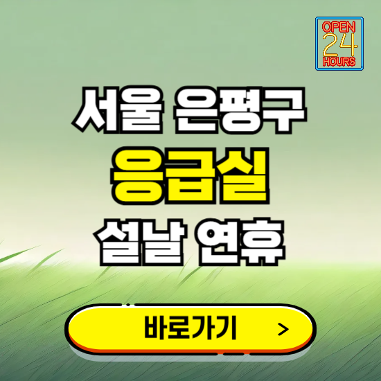 서울 은평구 설날 연휴 비상진료 응급실 병원 찾기 ❘ 내근처 24시 야간 심야 휴일 가능한 곳