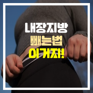 내장지방 빼는법