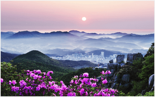 지역사랑 철도 여행 혜택 및 이용 방법