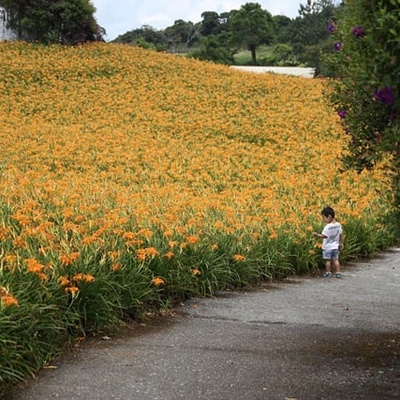 대만여행지원금 신청방법