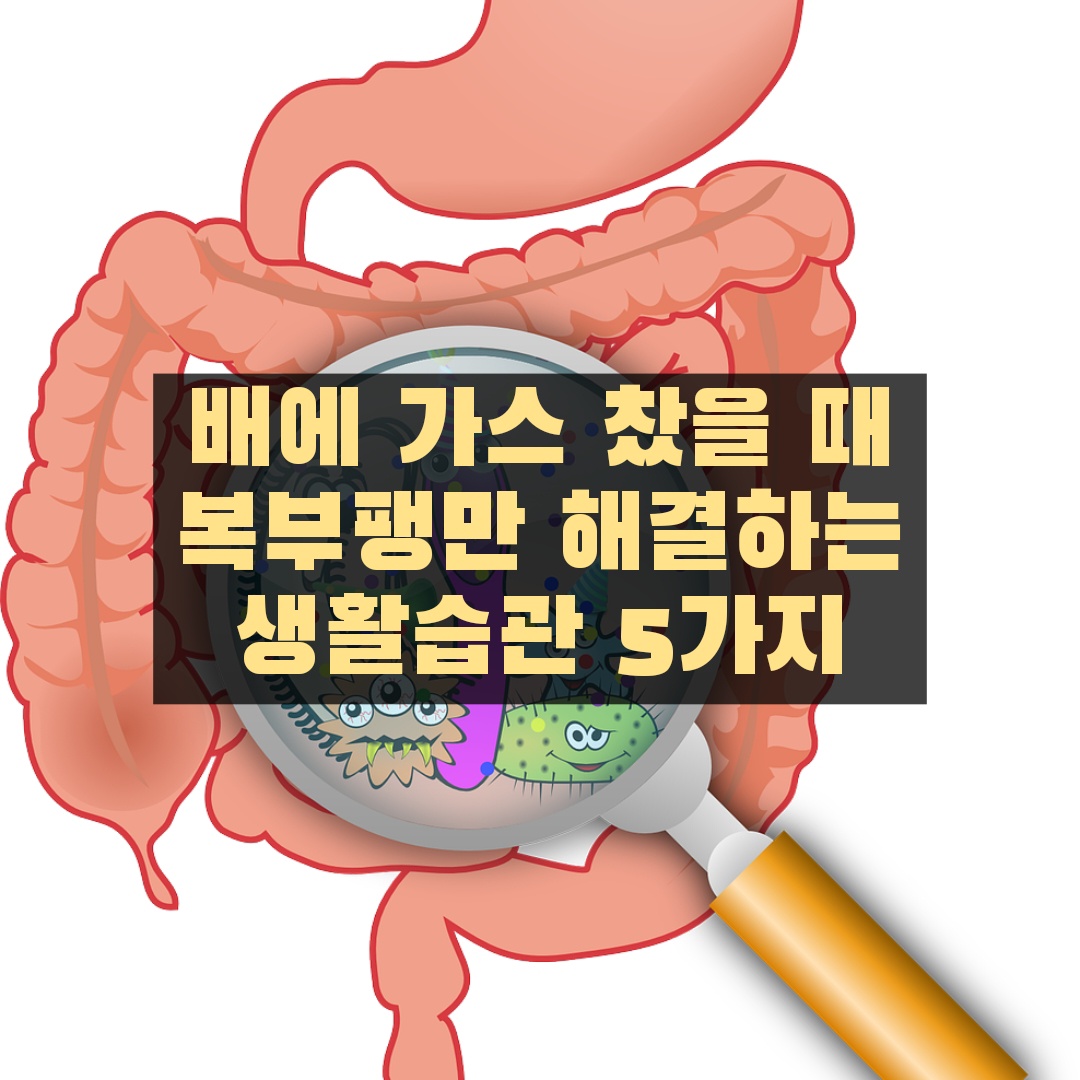 배에 가스찼을때-복부팽만 해결하기
