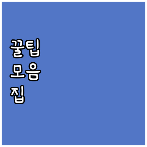 2025년 노원구 저소득 노인 건강보..