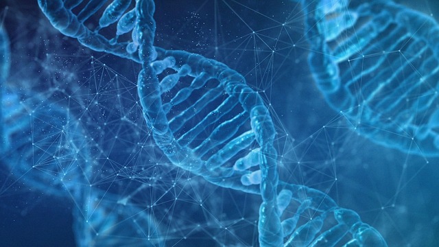 경계성 지능장애 증상 및 테스트 방법