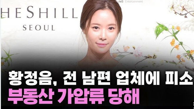 황정음 부동산 가압류