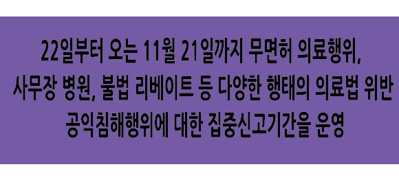 Alt 속성 문제 해결 설명 이미지