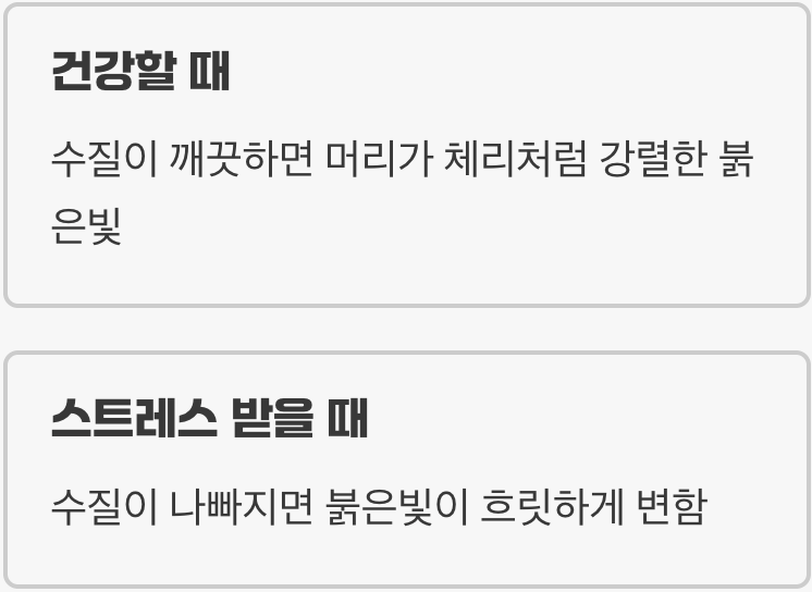 '수질 판독기', 붉은 머리의 비밀