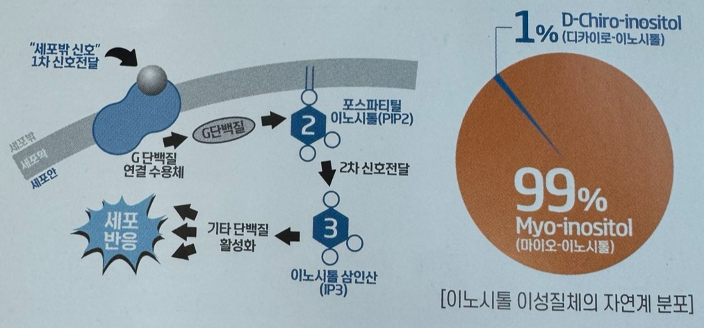 이노시톨 이성질체의 자연계 분포 안내
