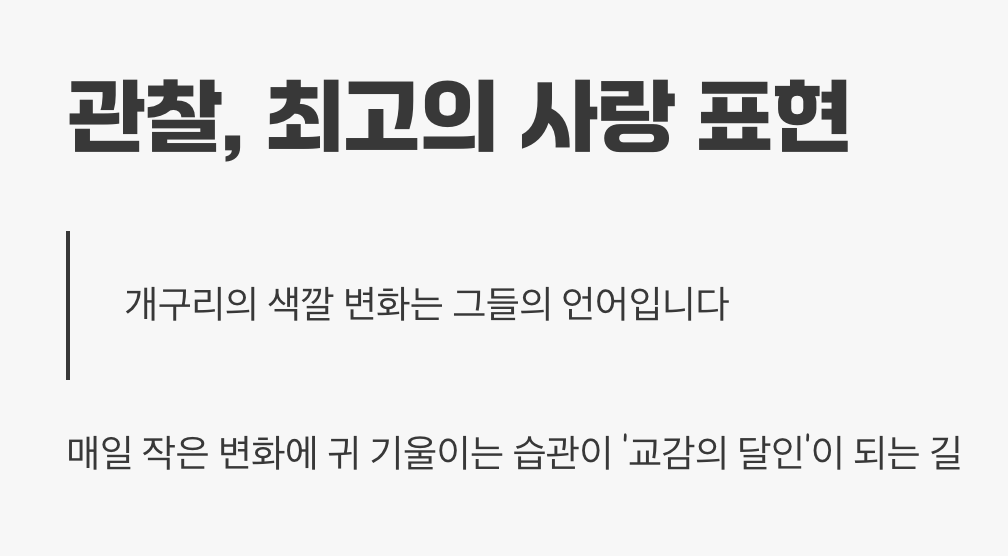 관찰&amp;#44; 최고의 사랑 표현