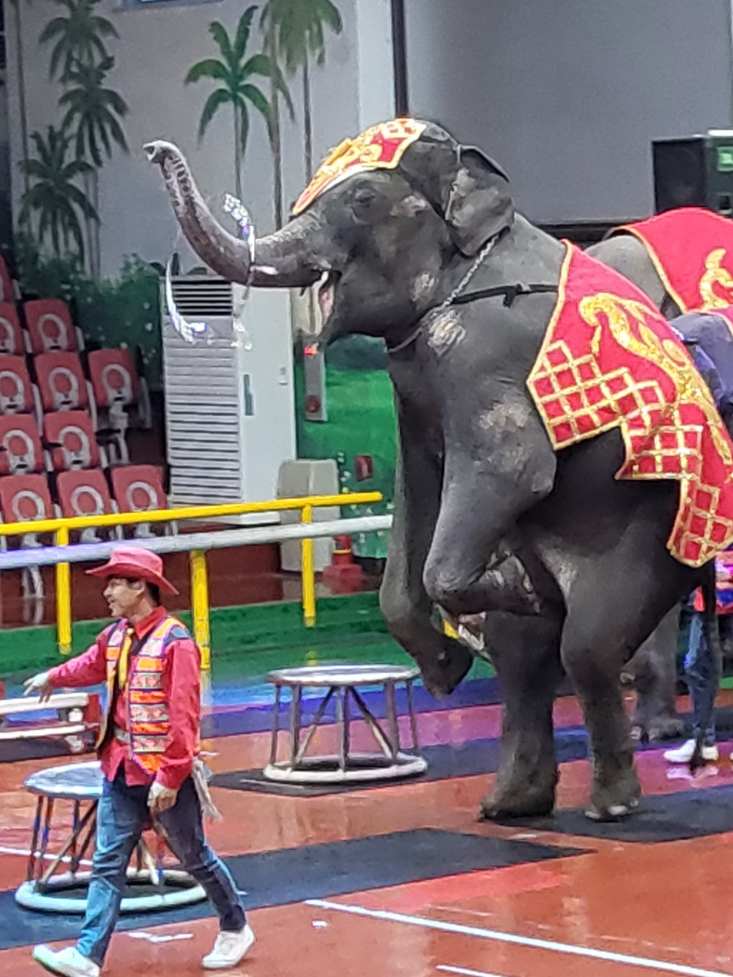제주도 아이와가볼만한곳, 점보빌리지