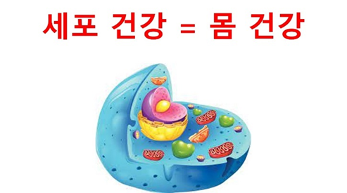 더블엑스