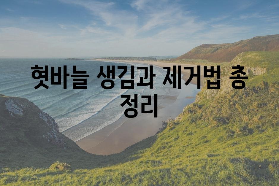 샘플 (86)
