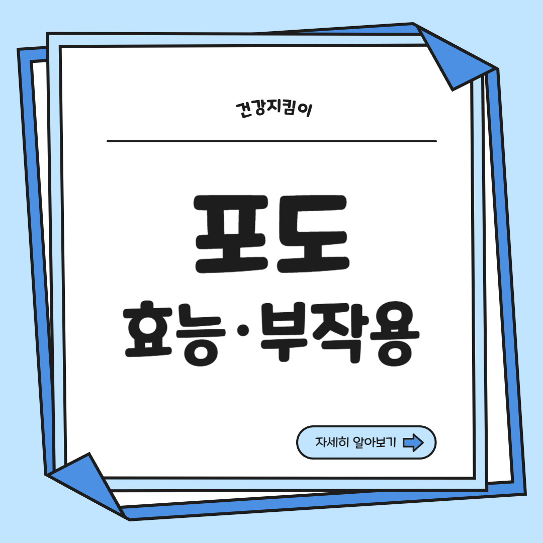 포도 효능 부작용