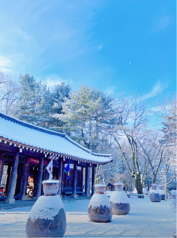 남이섬겨울2