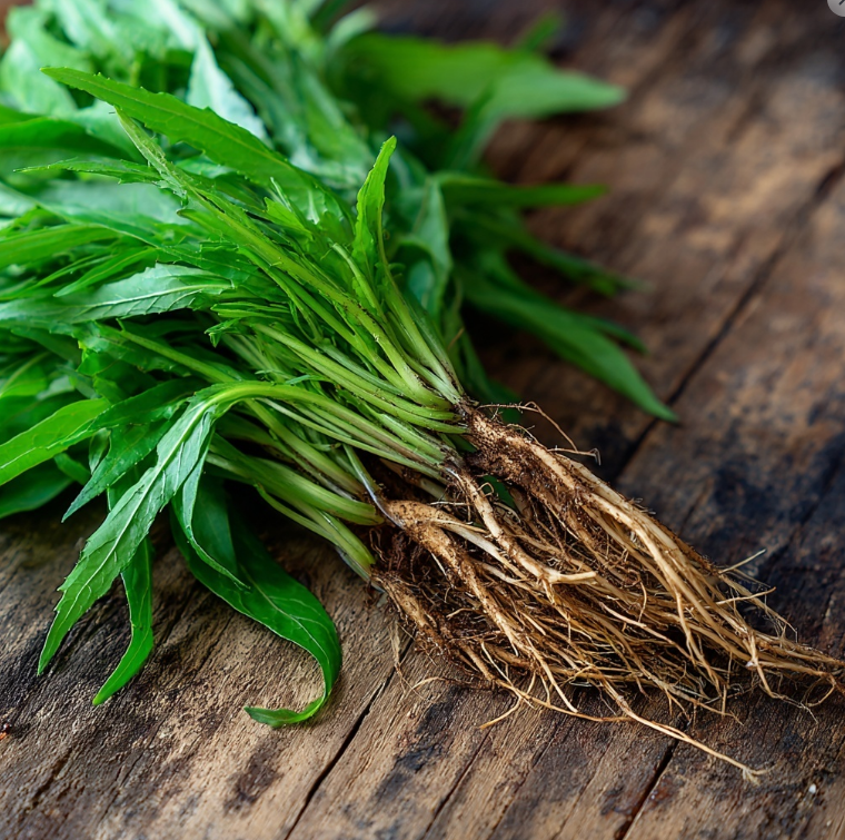 냉이 손질전 모습