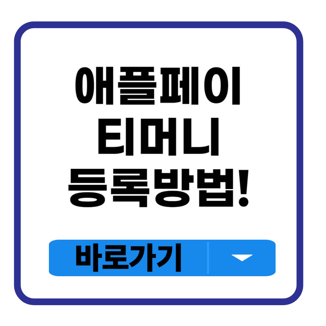 애플페이 티머니
