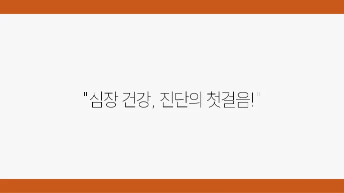 심장 검사 종류 후기 심전도 검사 심장초음파