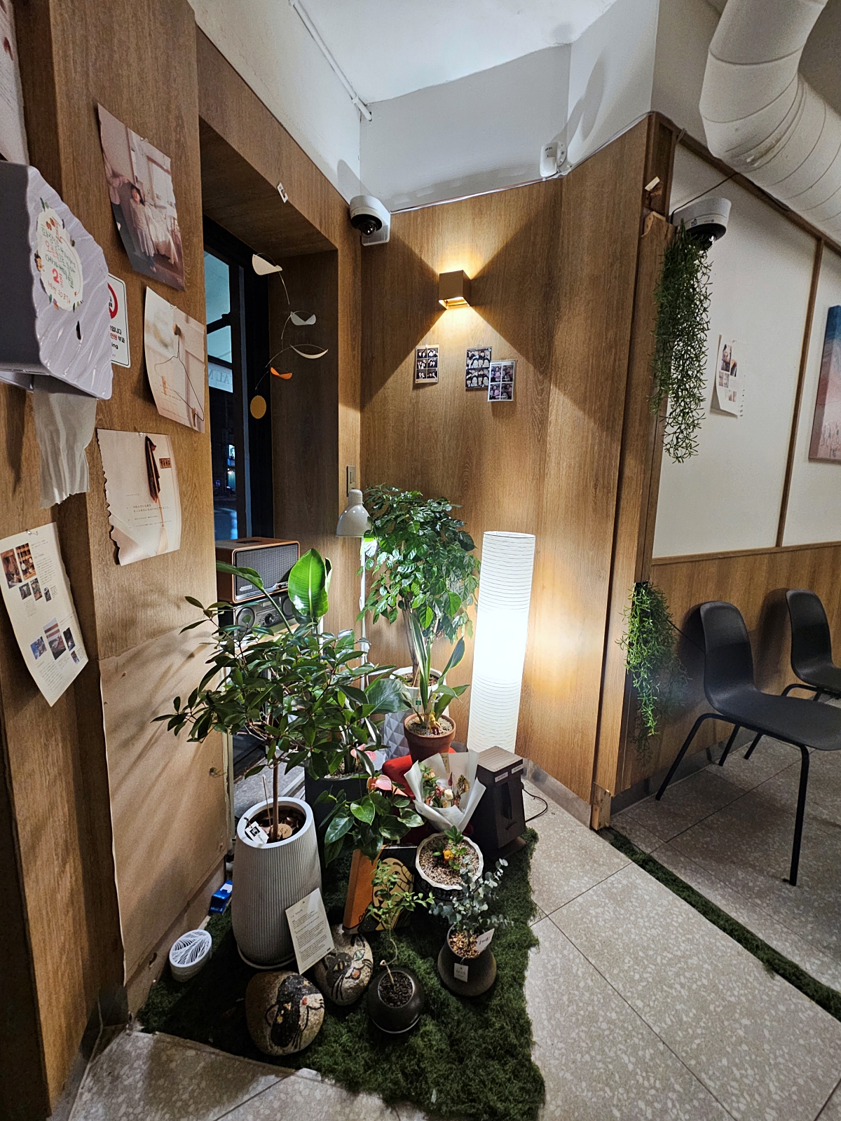 합정 희희 내부 우드 인테리어와 식물 조명 포토존