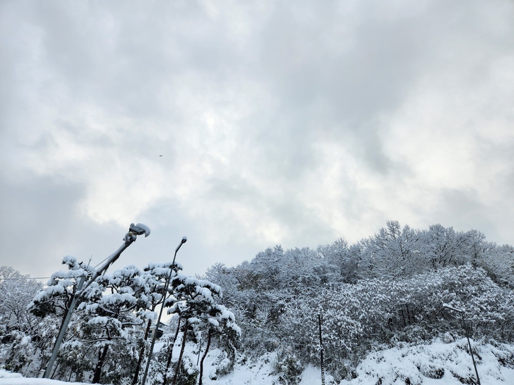 눈꽃-나무-하늘