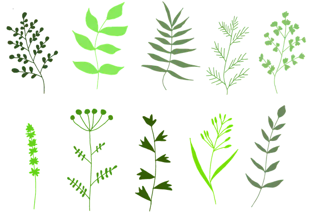 봄나물 종류 및 레시피