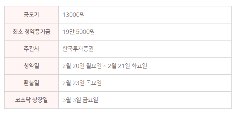 나노팀 청약