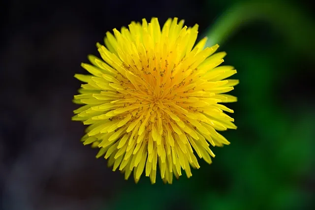 개인정보국외이전법