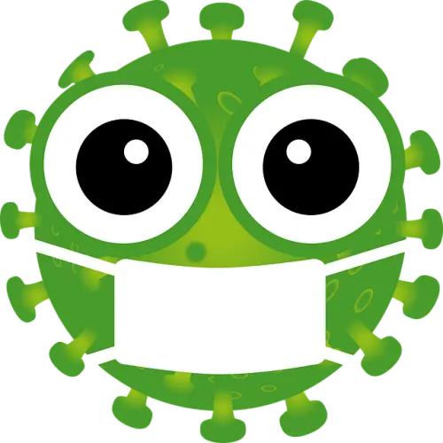 니파바이러스&amp;#44; 지금 당장 알아야 할 감염경로와 예방법