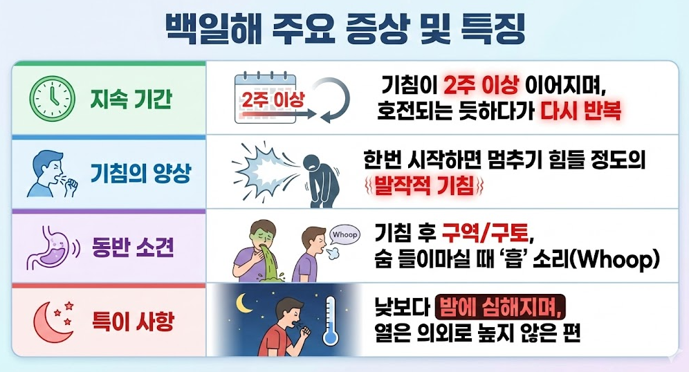 백일해의 주요 증상과 특징을 정리한 인포그래픽으로 2주 이상 지속되는 발작적 기침과 구토, 밤에 심해지는 양상을 시각적으로 설명한 이미지