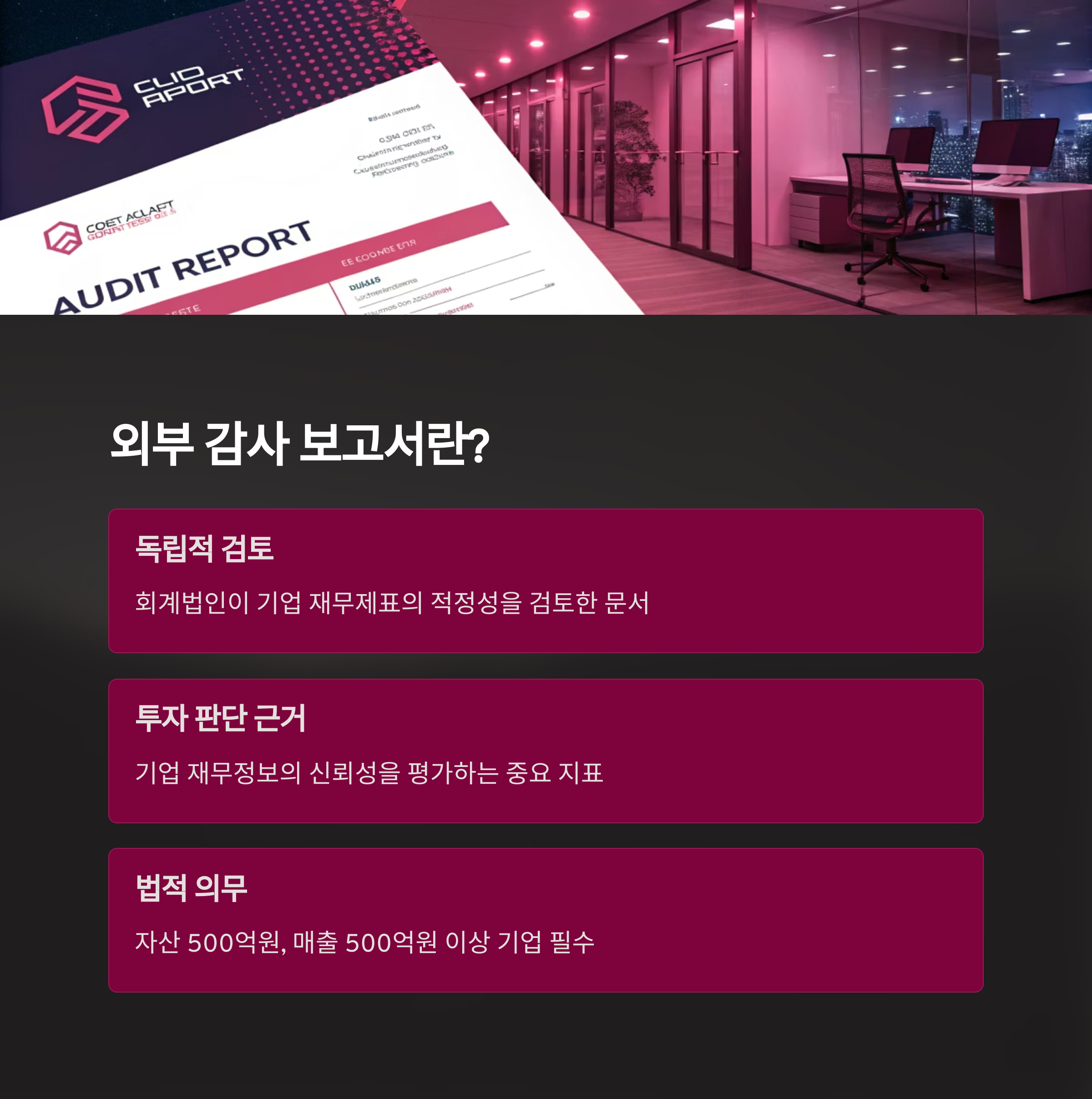 외부 감사 보고서