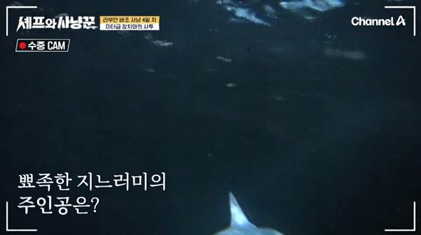 낚싯줄로 상어 잡은 여자연예인.jpg | 인스티즈