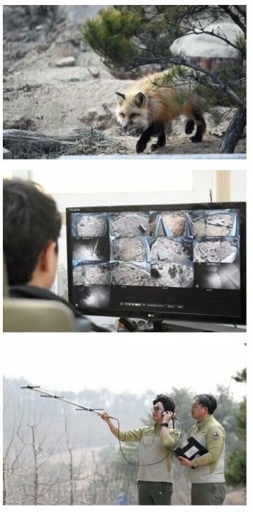 집값을 잡아야 출산율이 상승하는 이유