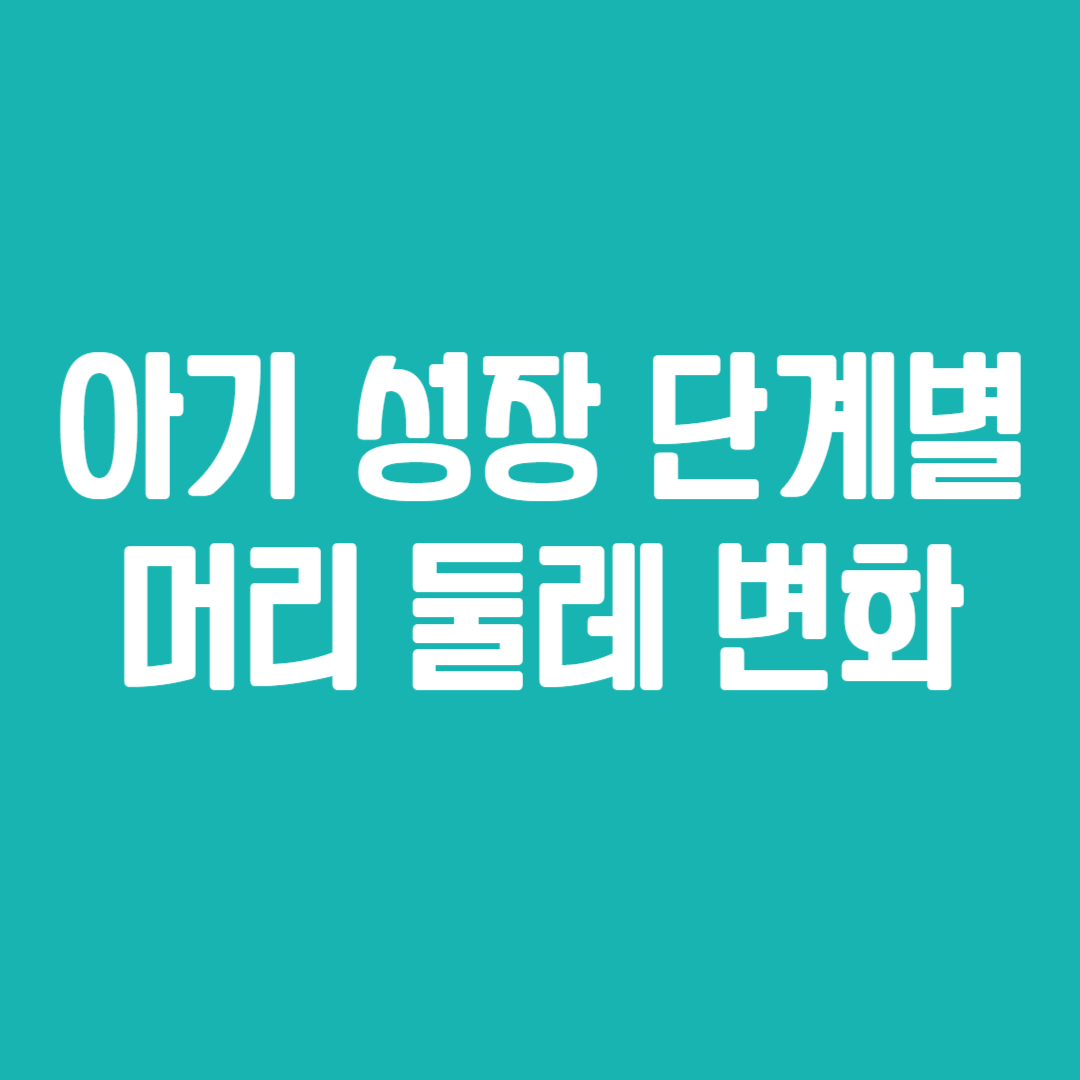 아기 성장 단계별 머리 둘레 변화