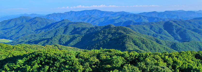 2025 안성맞춤 남사당 바우덕이축제&amp;#44; 전통과 흥이 살아있는 가을 대표 문화축제!