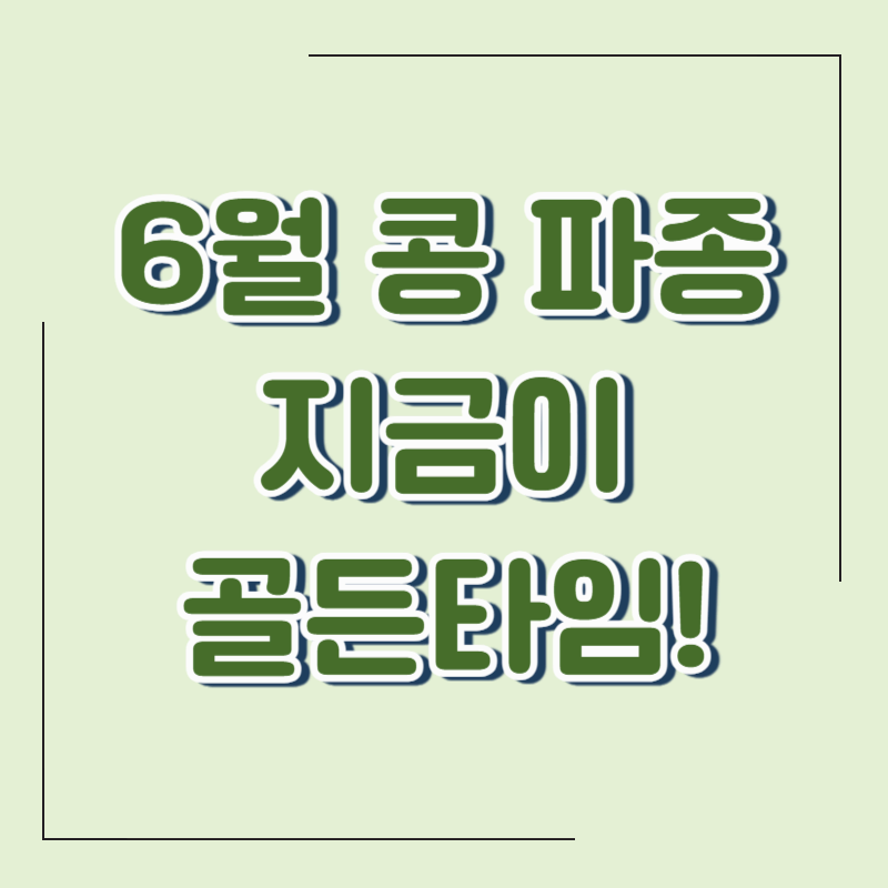 농촌진흥청이 알려주는 콩 파종 시기와 재배법 &ndash; 귀농 초보를 위한 실전 가이드