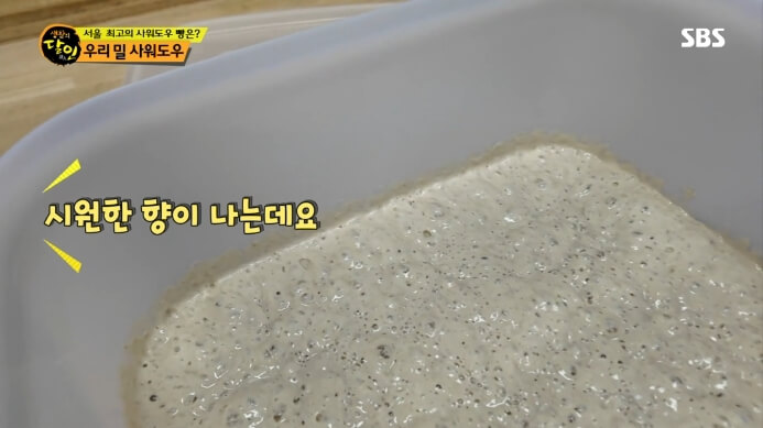 발효종