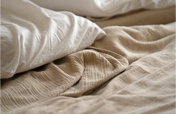 침구 집먼지진드기