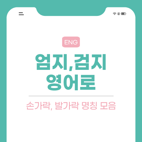 엄지-검지-영어로-포스팅-썸네일