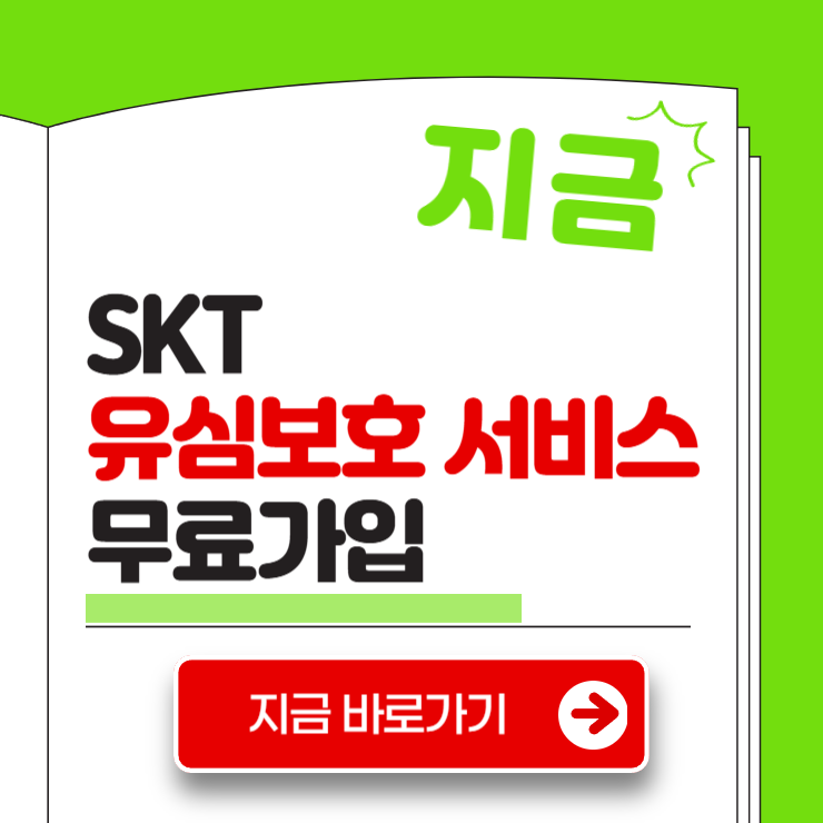 SKT 유심보호 서비스